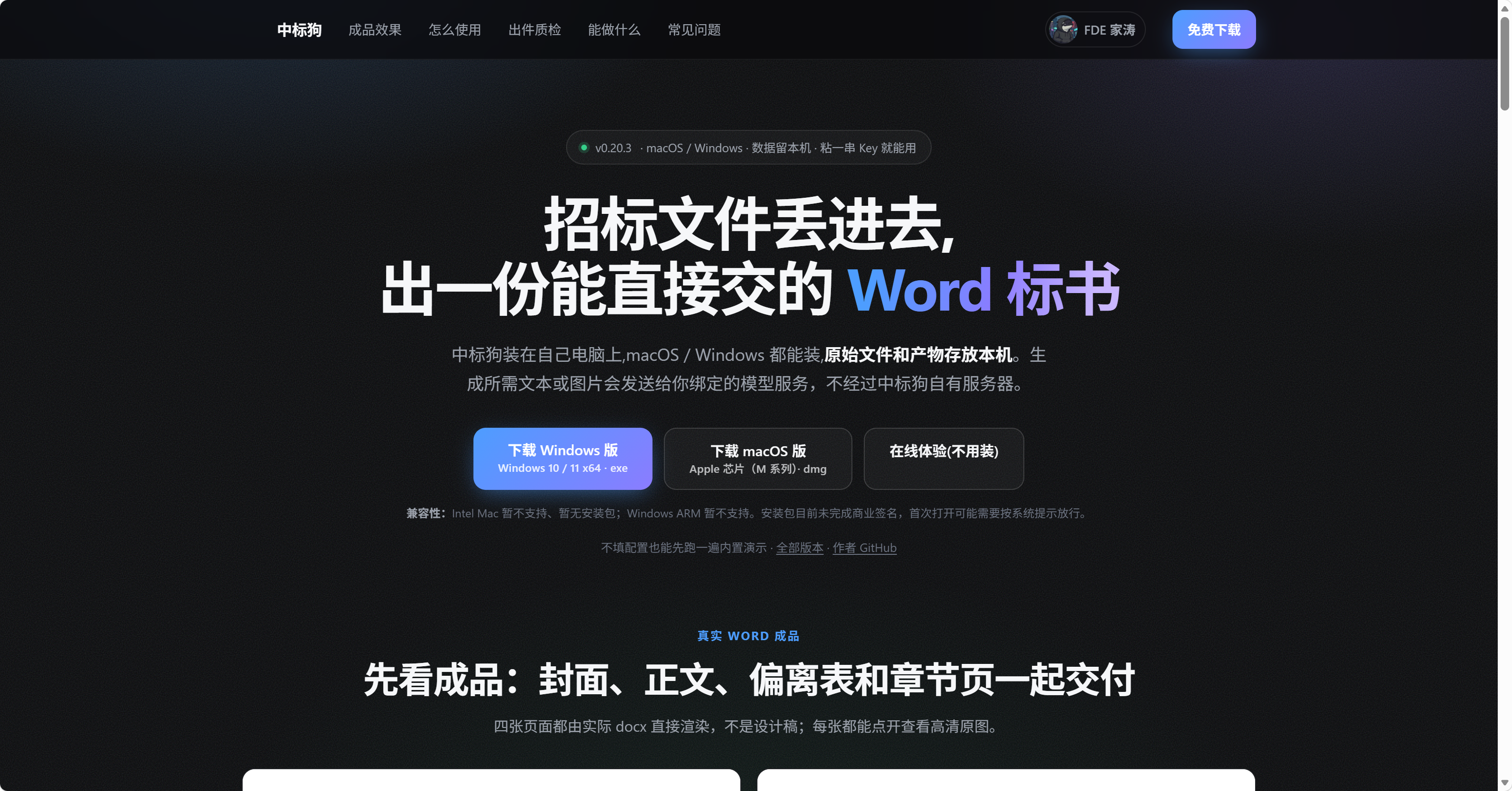 标书智能生成助手 demo 截图
